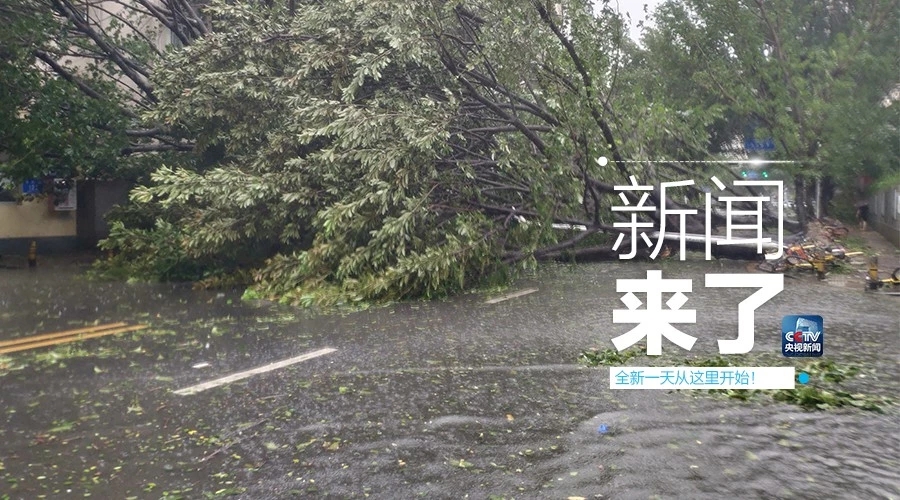“山竹”怒過，高空塔吊你還好嗎？